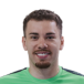 Guilherme  Marcarini Gomes 